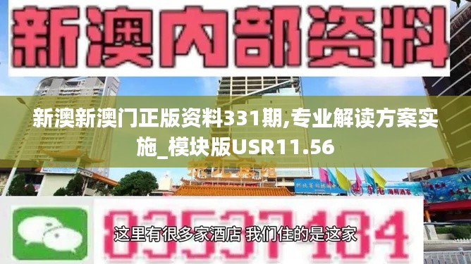 新澳新澳门正版资料331期,专业解读方案实施_模块版USR11.56