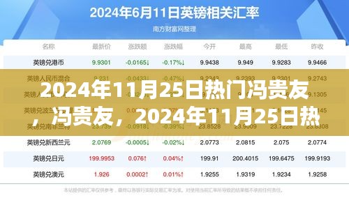 冯贵友，2024年11月25日热门之选深度评测与介绍