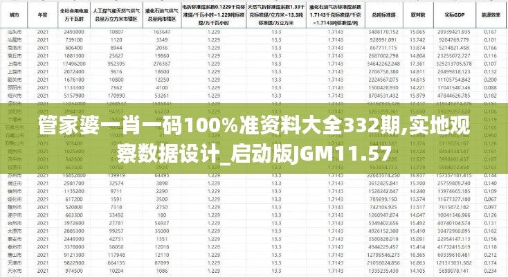 管家婆一肖一码100%准资料大全332期,实地观察数据设计_启动版JGM11.57