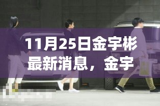 金宇彬最新动态揭秘，聚焦十一月二十五日深度解读消息