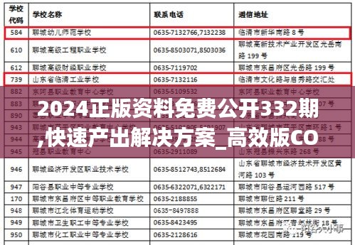 2024正版资料免费公开332期,快速产出解决方案_高效版COA11.57