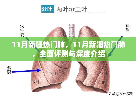 新疆热门肺，全面评测与深度介绍，带你领略十一月新疆的魅力所在