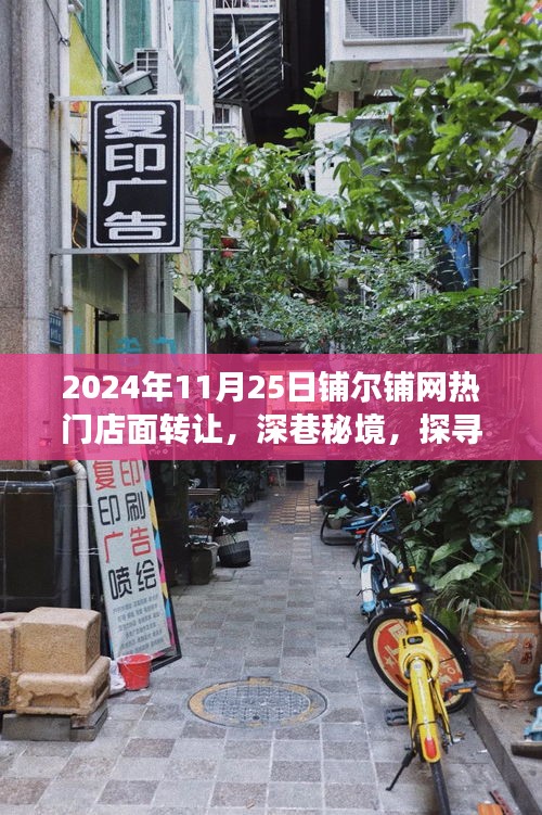 深巷秘境揭秘，铺尔铺网热门店面转让背后的故事（2024年11月25日）