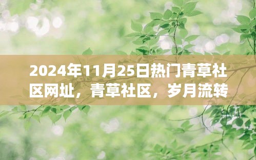 青草社区，岁月变迁中的热门社区网址见证时代成长（2024年最新网址）