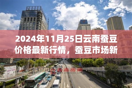 2024年云南蚕豆价格最新行情启示录，市场新动态，学习变化，自信成就未来