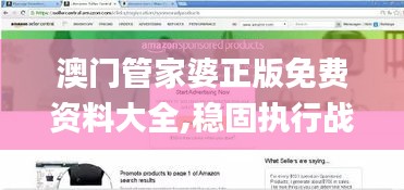 澳门管家婆正版免费资料大全,稳固执行战略分析_后台版DKV16.76