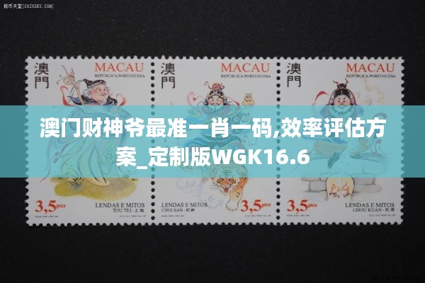 澳门财神爷最准一肖一码,效率评估方案_定制版WGK16.6