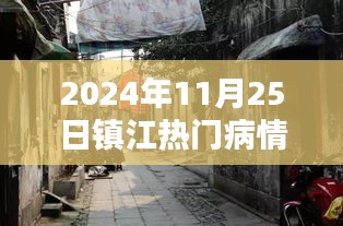 揭秘镇江小巷深处的特色诊所，2024年11月25日热门病情探秘