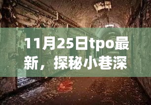 探秘小巷深处的独特风味，记一家隐藏版特色小店的发现之旅——最新TPO报告发布日探访记