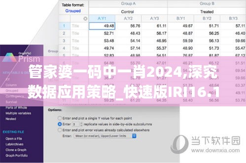 管家婆一码中一肖2024,深究数据应用策略_快速版IRI16.10