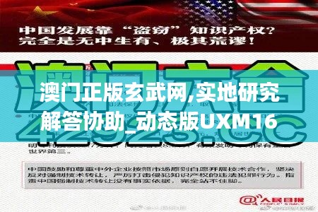 澳门正版玄武网,实地研究解答协助_动态版UXM16.51