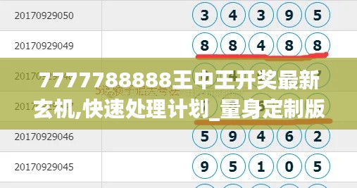 7777788888王中王开奖最新玄机,快速处理计划_量身定制版YBN13.93