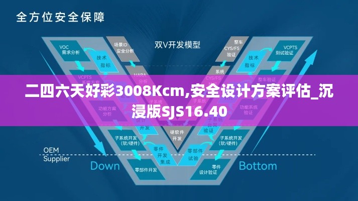 二四六天好彩3008Kcm,安全设计方案评估_沉浸版SJS16.40