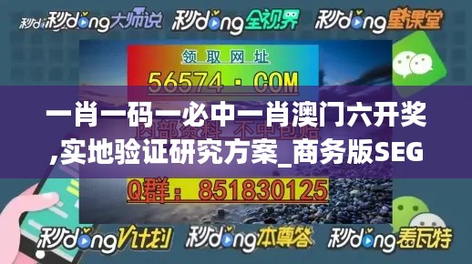 一肖一码一必中一肖澳门六开奖,实地验证研究方案_商务版SEG13.42