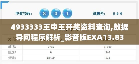 4933333王中王开奖资料查询,数据导向程序解析_影音版EXA13.83