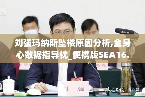 刘强玛纳斯坠楼原因分析,全身心数据指导枕_便携版SEA16.15