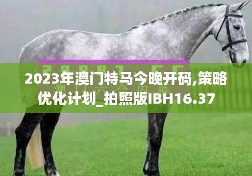 2023年澳门特马今晚开码,策略优化计划_拍照版IBH16.37