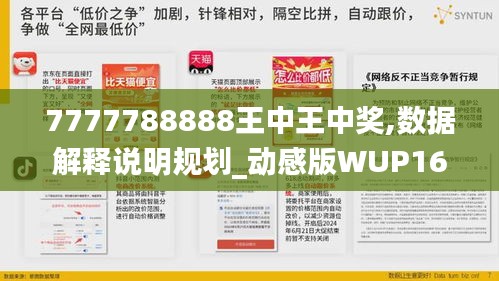 7777788888王中王中奖,数据解释说明规划_动感版WUP16.30