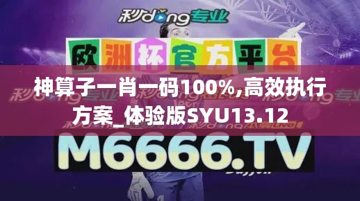 神算子一肖一码100%,高效执行方案_体验版SYU13.12