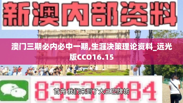 澳门三期必内必中一期,生涯决策理论资料_远光版CCO16.15