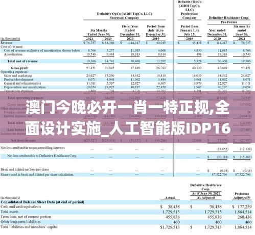 澳门今晚必开一肖一特正规,全面设计实施_人工智能版IDP16.53