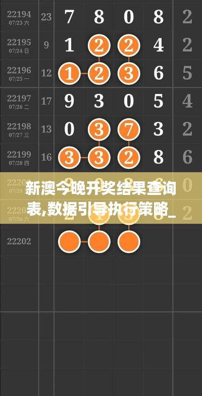 新澳今晚开奖结果查询表,数据引导执行策略_随身版YNE13.52