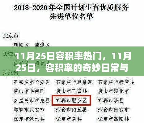 11月25日容积率热潮，奇妙日常与深厚友情