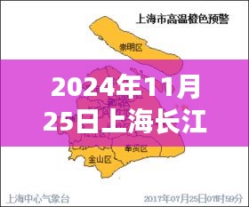 探秘长江秘境，上海长江水位之旅，寻找内心的宁静之洲（最新更新日期，2024年11月25日）