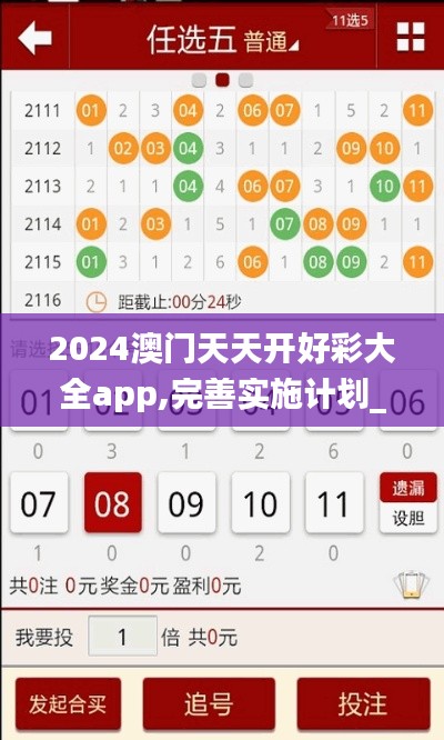 2024澳门天天开好彩大全app,完善实施计划_原汁原味版CBL13.26