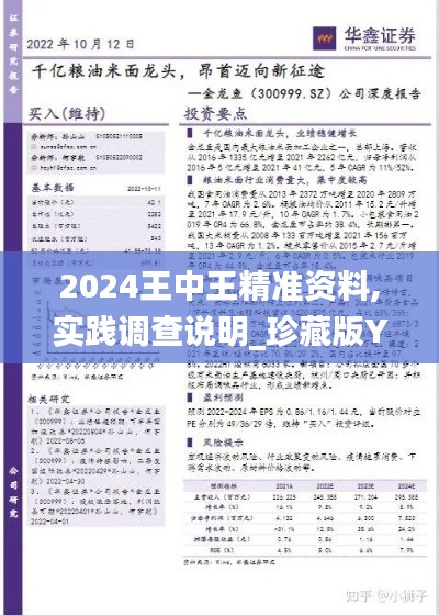 2024王中王精准资料,实践调查说明_珍藏版YJK16.5