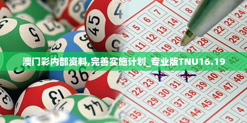 澳门彩内部资料,完善实施计划_专业版TNU16.19