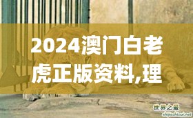 2024澳门白老虎正版资料,理论考证解析_绝版RJP16.62