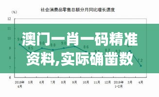 澳门一肖一码精准资料,实际确凿数据解析统计_定制版HKA16.48