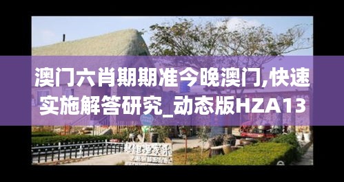 澳门六肖期期准今晚澳门,快速实施解答研究_动态版HZA13.3