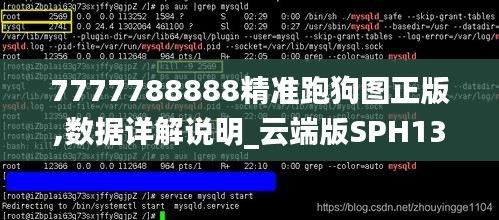 7777788888精准跑狗图正版,数据详解说明_云端版SPH13.75