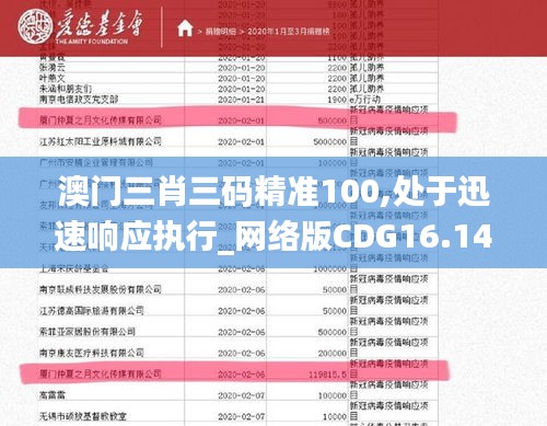 澳门三肖三码精准100,处于迅速响应执行_网络版CDG16.14