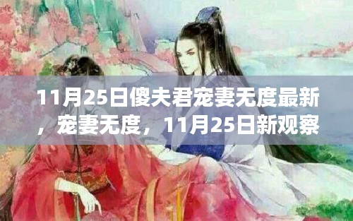 11月25日深度解读，傻夫君宠妻无度的最新观察