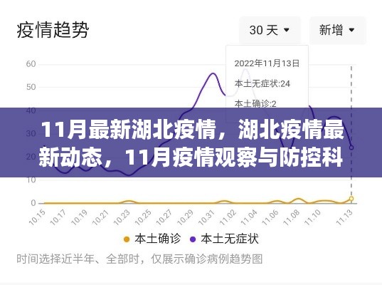 湖北疫情最新动态，11月观察与防控科普知识解读