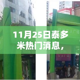 11月25日泰多米热门消息全解析，时尚潮流、影视娱乐与科技新品一网打尽