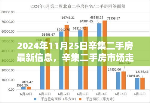 辛集二手房市场最新信息解析与走势分析，观点碰撞与个人立场