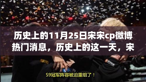 宋宋CP微博热门消息回顾与深度解析，历史上的11月25日回顾