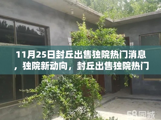 封丘独院出售新动向，热门消息全面解析