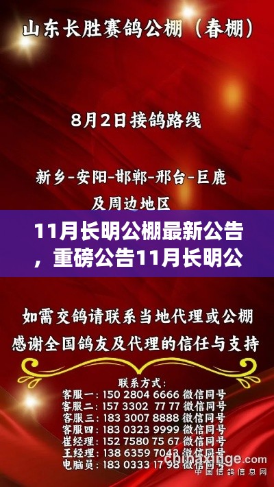 11月长明公棚新篇章开启，学习变革，自信追梦