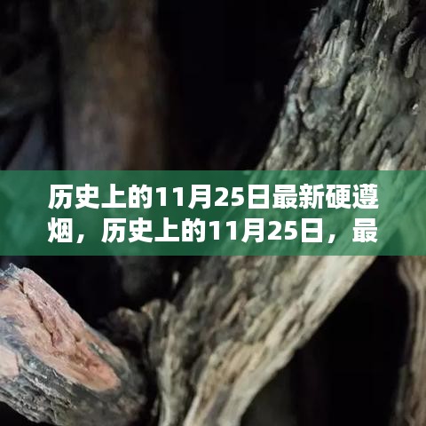 历史上的11月25日，最新硬遵烟深度评测与介绍