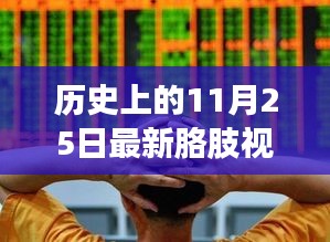 历史上的11月25日，最新胳肢视频产品深度评测及发布回顾