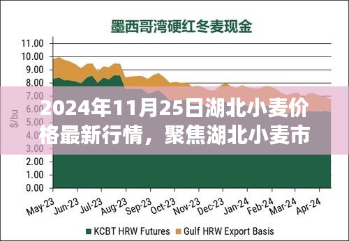 湖北小麦市场深度解析，最新行情、未来趋势展望（2024年11月25日）