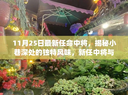 新任中将揭秘小巷深处的独特风味，特色小店背后的故事