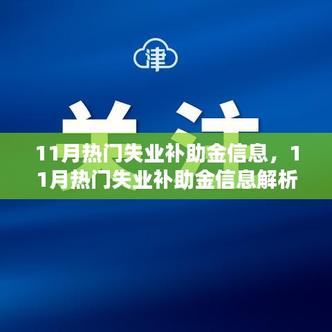 关于失业补助金信息的深度解析，聚焦观点与实用指南（11月版）