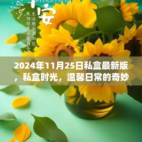 私盒时光，温馨日常的奇妙展开（最新版 2024年11月25日）