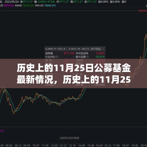 历史上的11月25日公募基金深度评测与最新情况概览